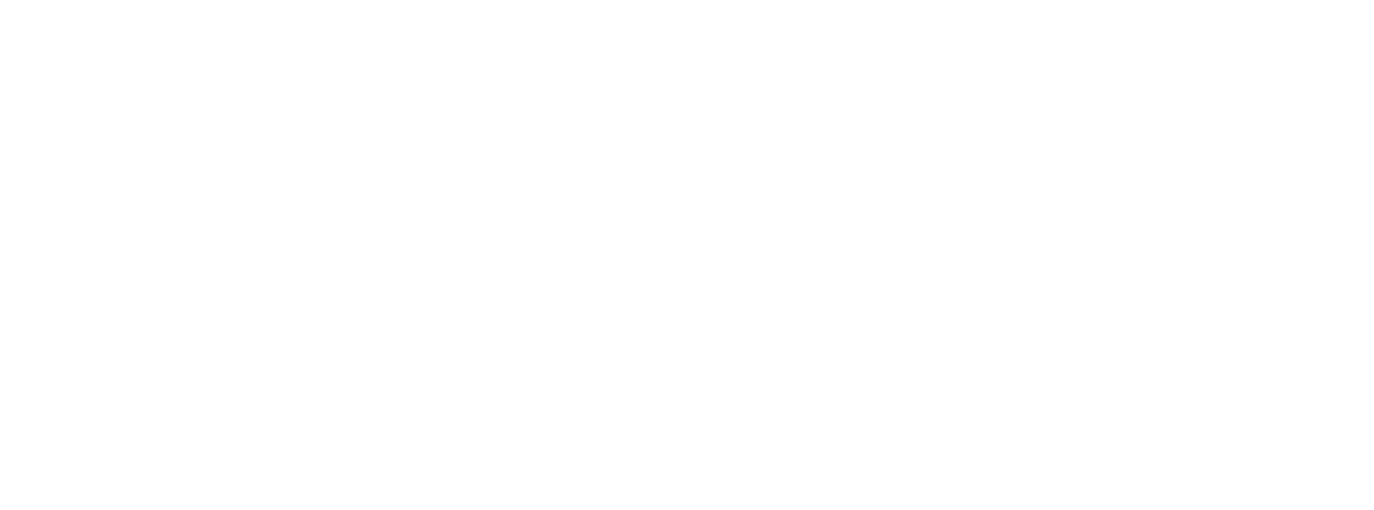 Racial Equity Institute